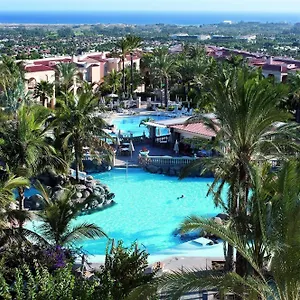 https://palm-oasis-maspalomas.in-canary-islands.com